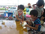 IMG_6589